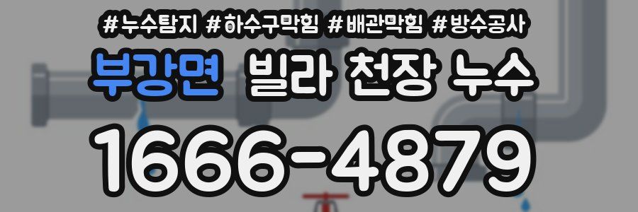 부강면 빌라 천장 누수