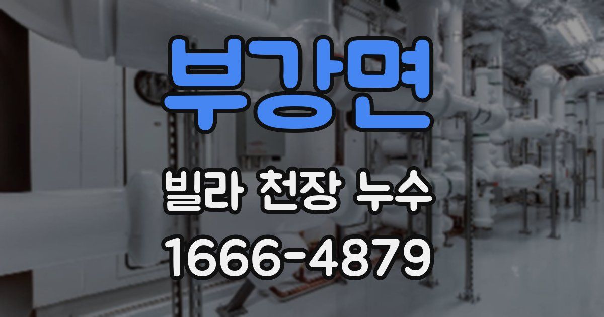 부강면 빌라 천장 누수