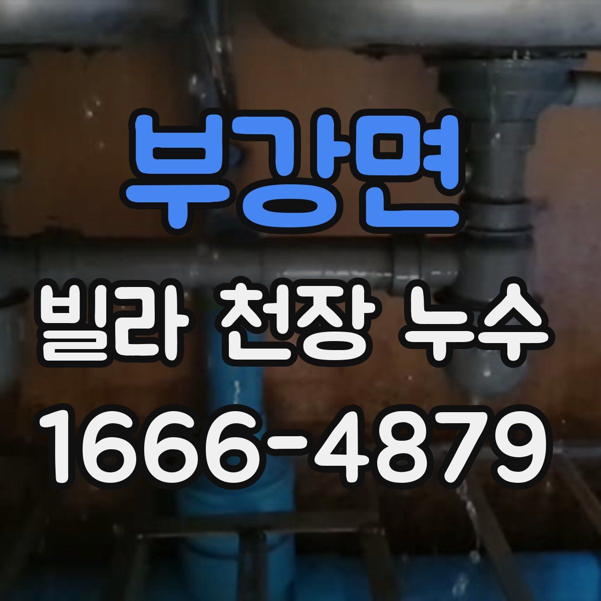 부강면 빌라 천장 누수