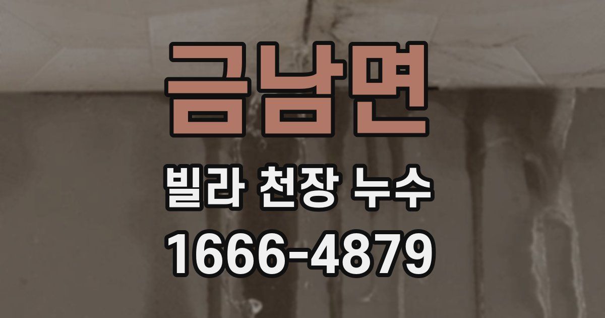 금남면 빌라 천장 누수