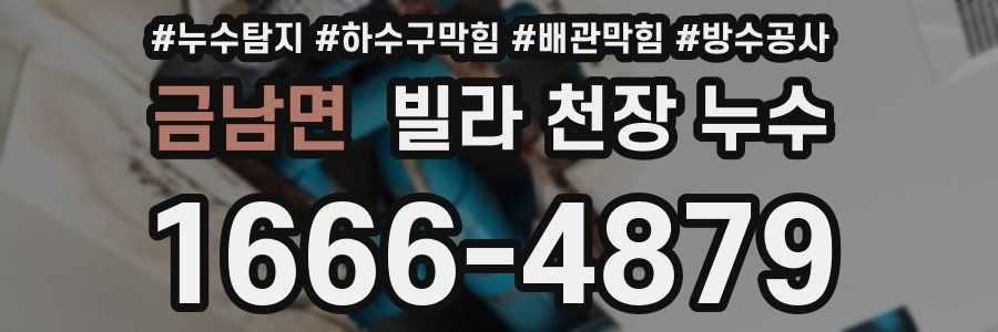 금남면 빌라 천장 누수