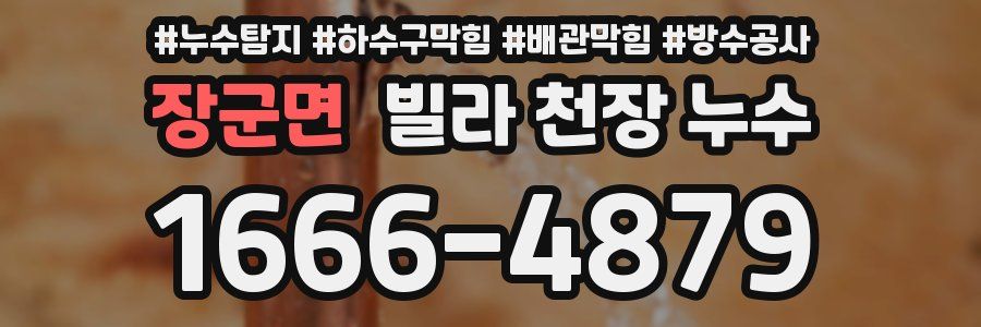 장군면 빌라 천장 누수