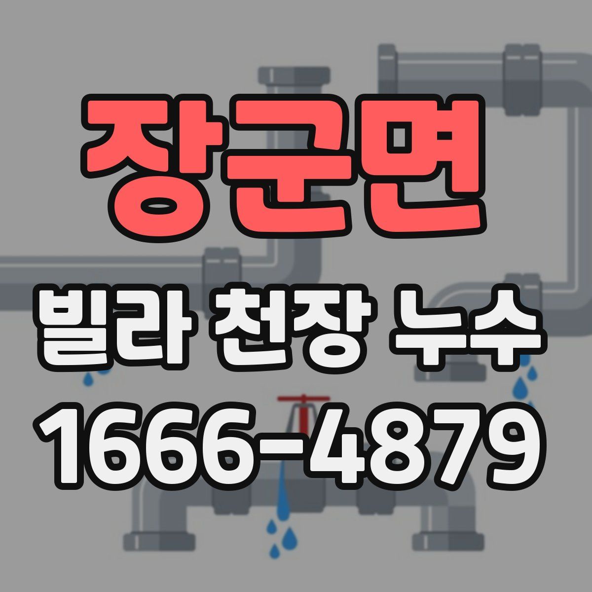 장군면 빌라 천장 누수