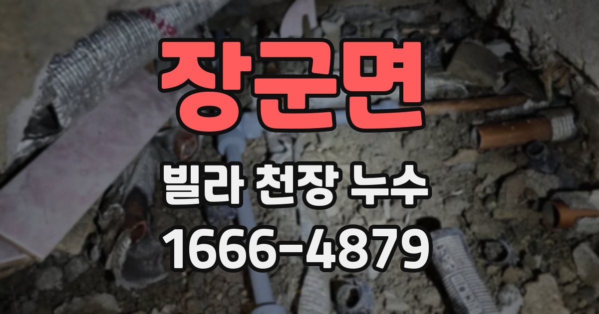 장군면 빌라 천장 누수