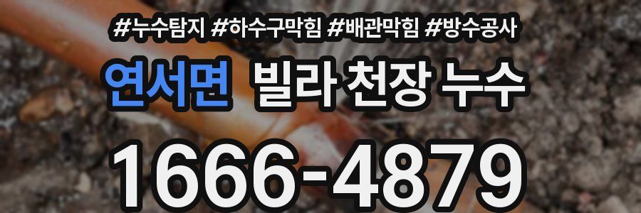 연서면 빌라 천장 누수
