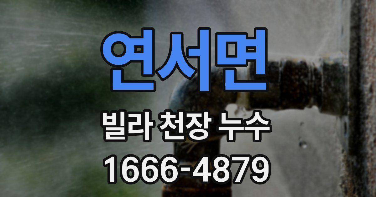 연서면 빌라 천장 누수