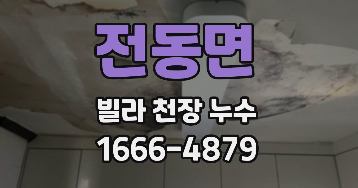 전동면 빌라 천장 누수