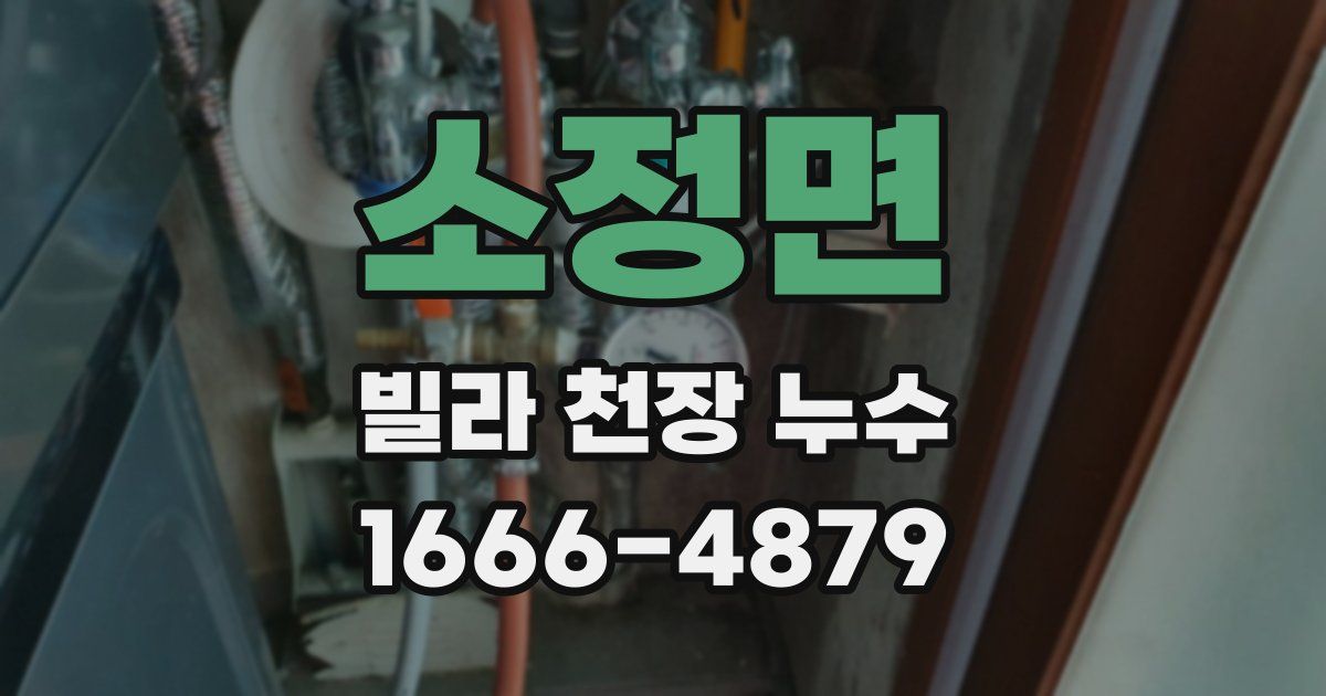 소정면 빌라 천장 누수
