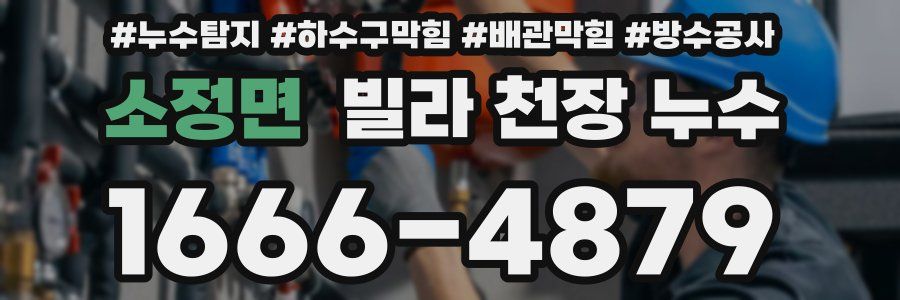 소정면 빌라 천장 누수