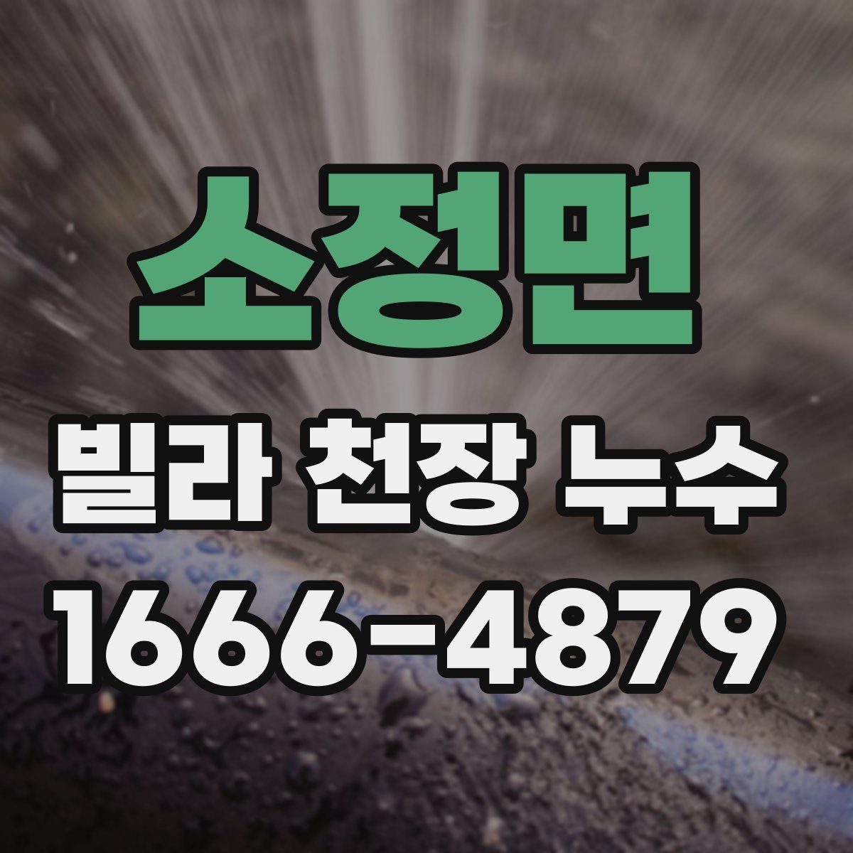 소정면 빌라 천장 누수