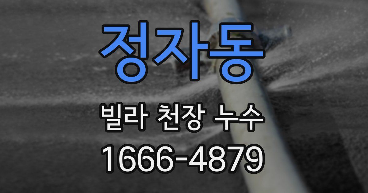 정자동 빌라 천장 누수