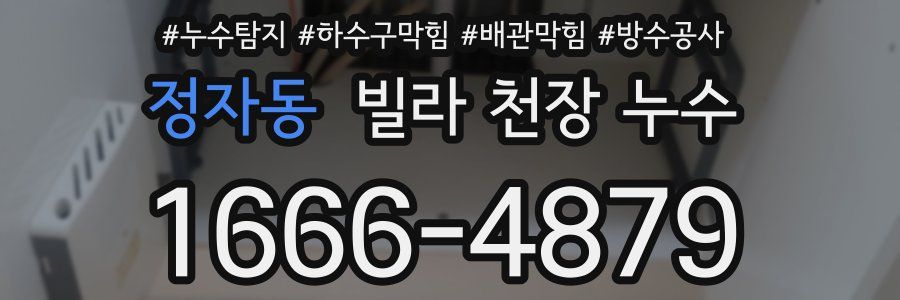 정자동 빌라 천장 누수