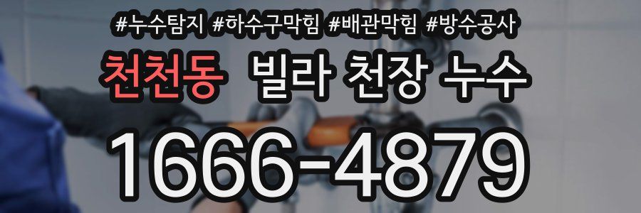 천천동 빌라 천장 누수