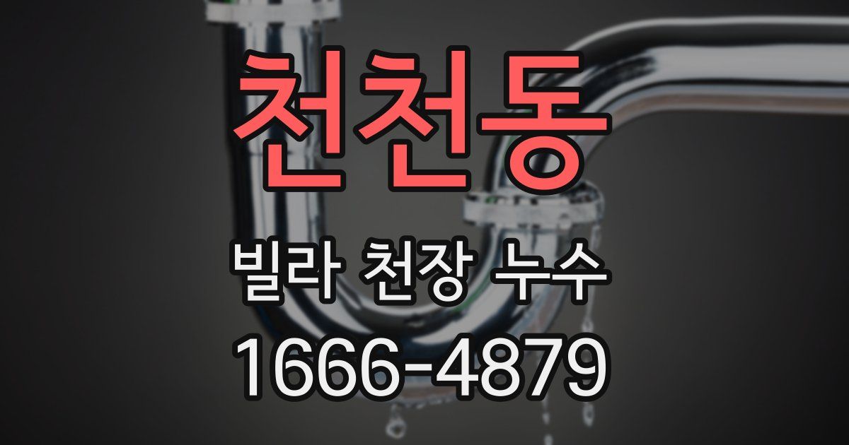 천천동 빌라 천장 누수