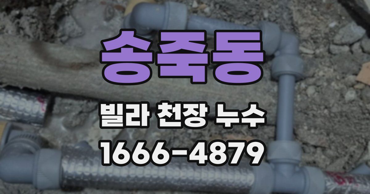 송죽동 빌라 천장 누수