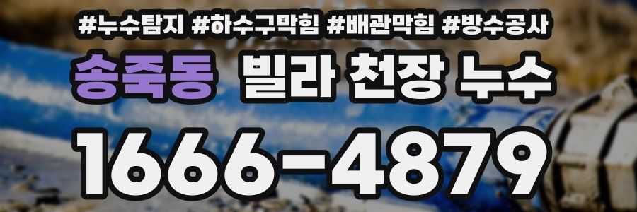 송죽동 빌라 천장 누수