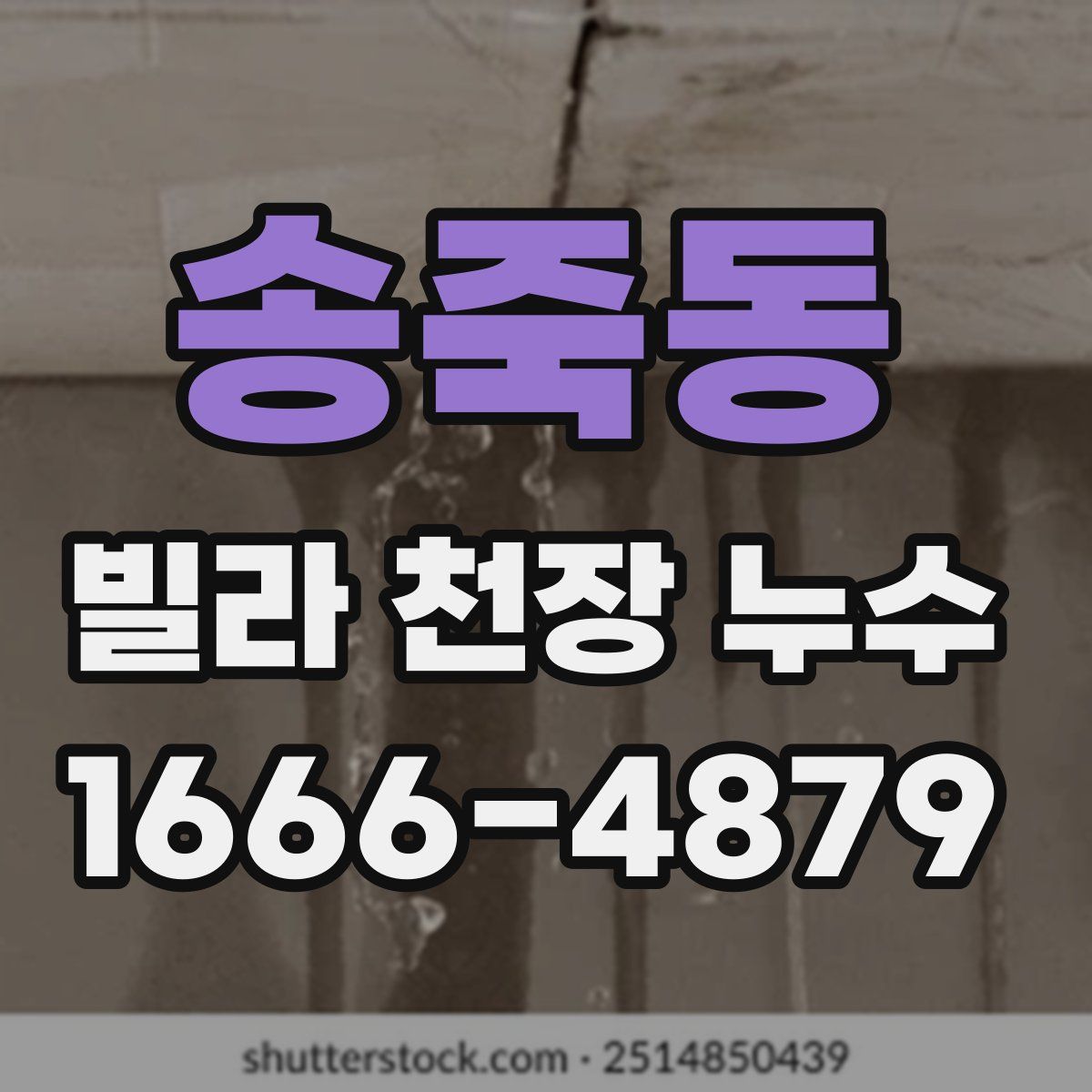 송죽동 빌라 천장 누수
