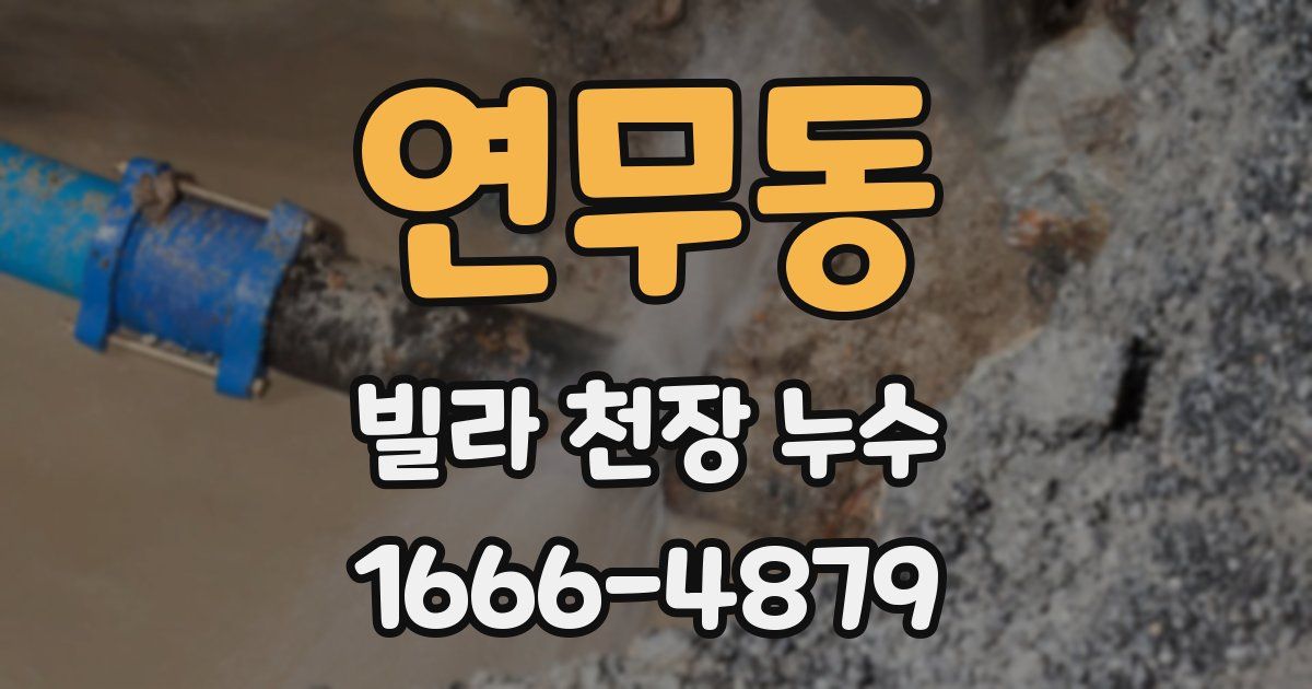 연무동 빌라 천장 누수