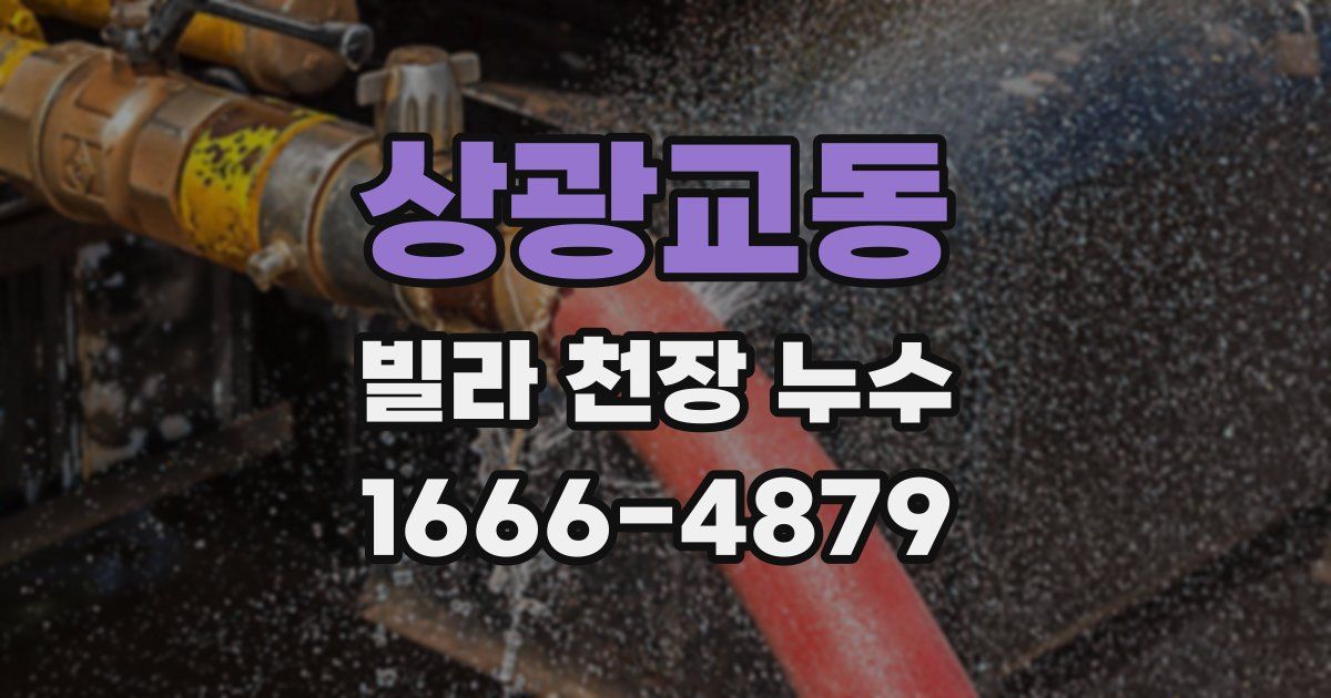 상광교동 빌라 천장 누수