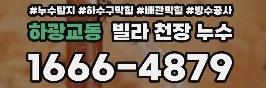 하광교동 빌라 천장 누수