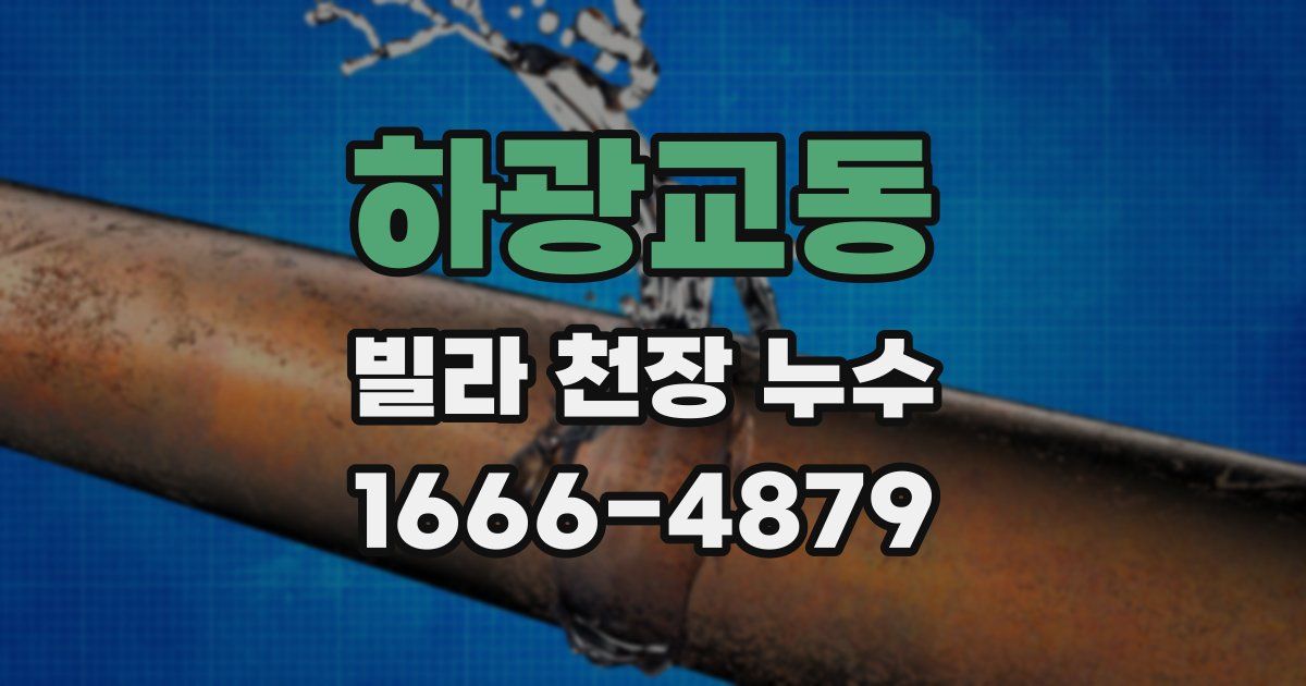 하광교동 빌라 천장 누수