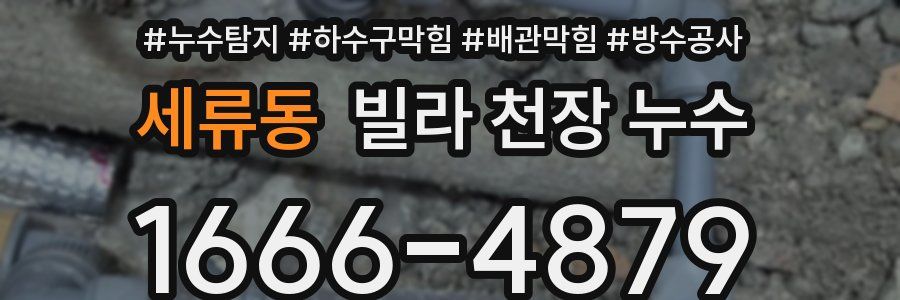 세류동 빌라 천장 누수