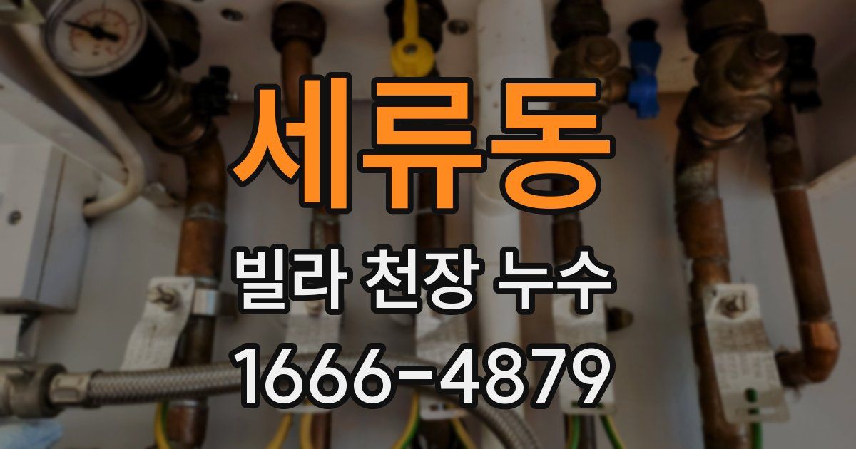 세류동 빌라 천장 누수