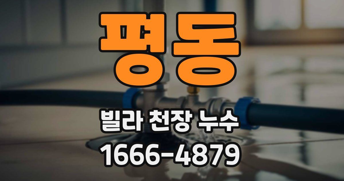 평동 빌라 천장 누수