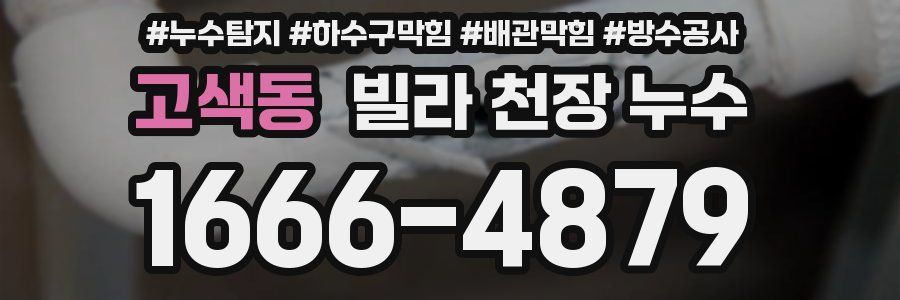 고색동 빌라 천장 누수