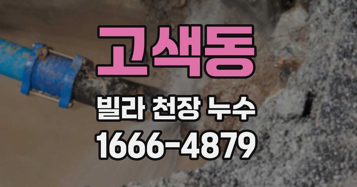 고색동 빌라 천장 누수
