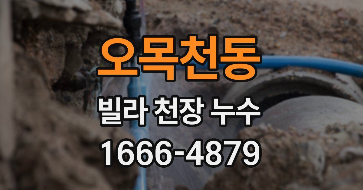 오목천동 빌라 천장 누수