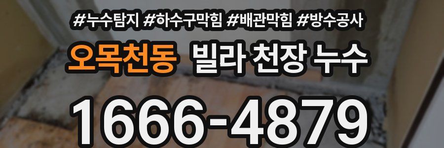 오목천동 빌라 천장 누수