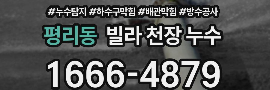평리동 빌라 천장 누수