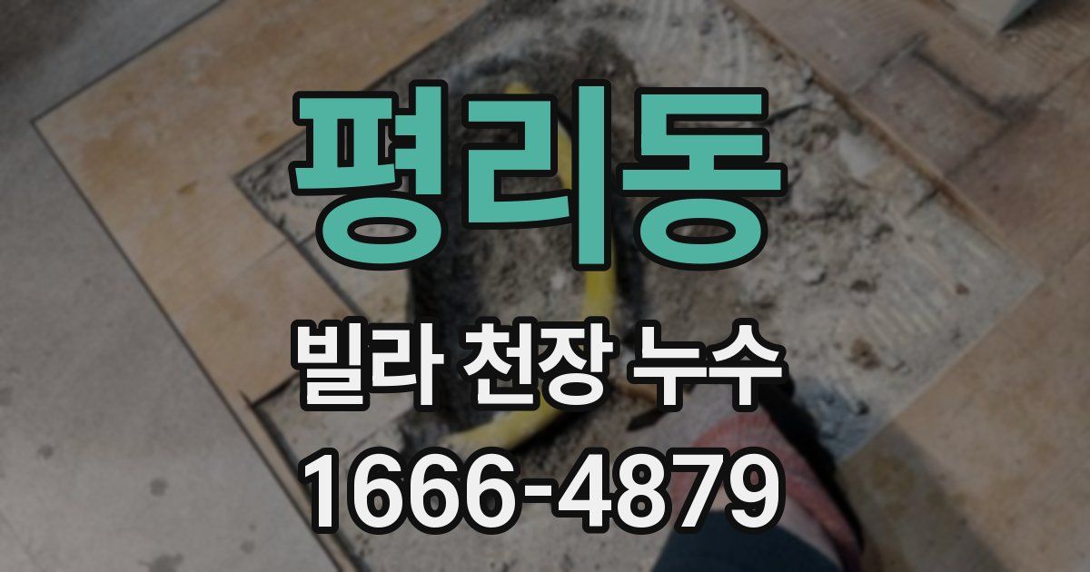 평리동 빌라 천장 누수