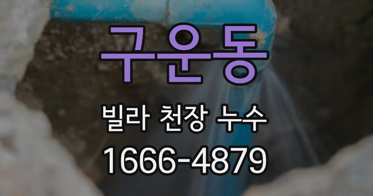 구운동 빌라 천장 누수