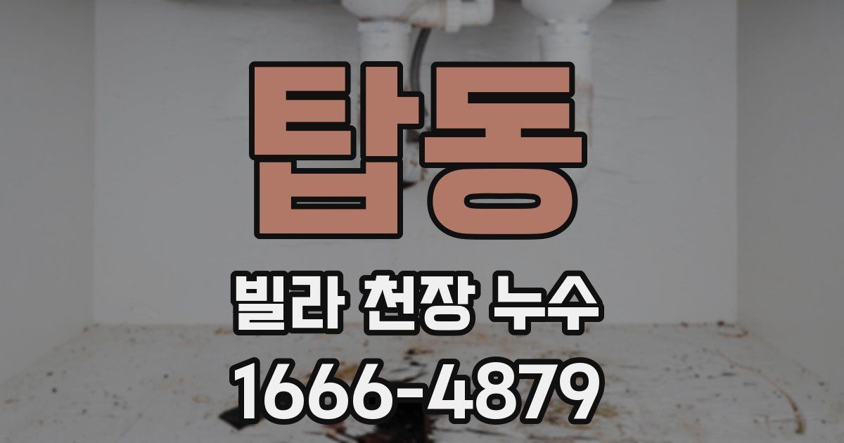 탑동 빌라 천장 누수