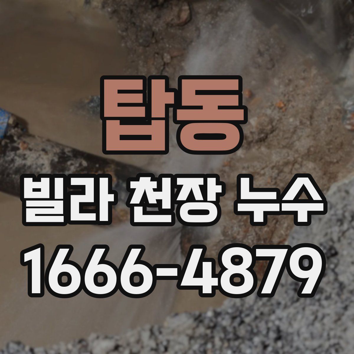 탑동 빌라 천장 누수