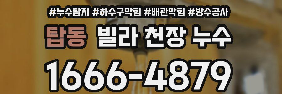 탑동 빌라 천장 누수