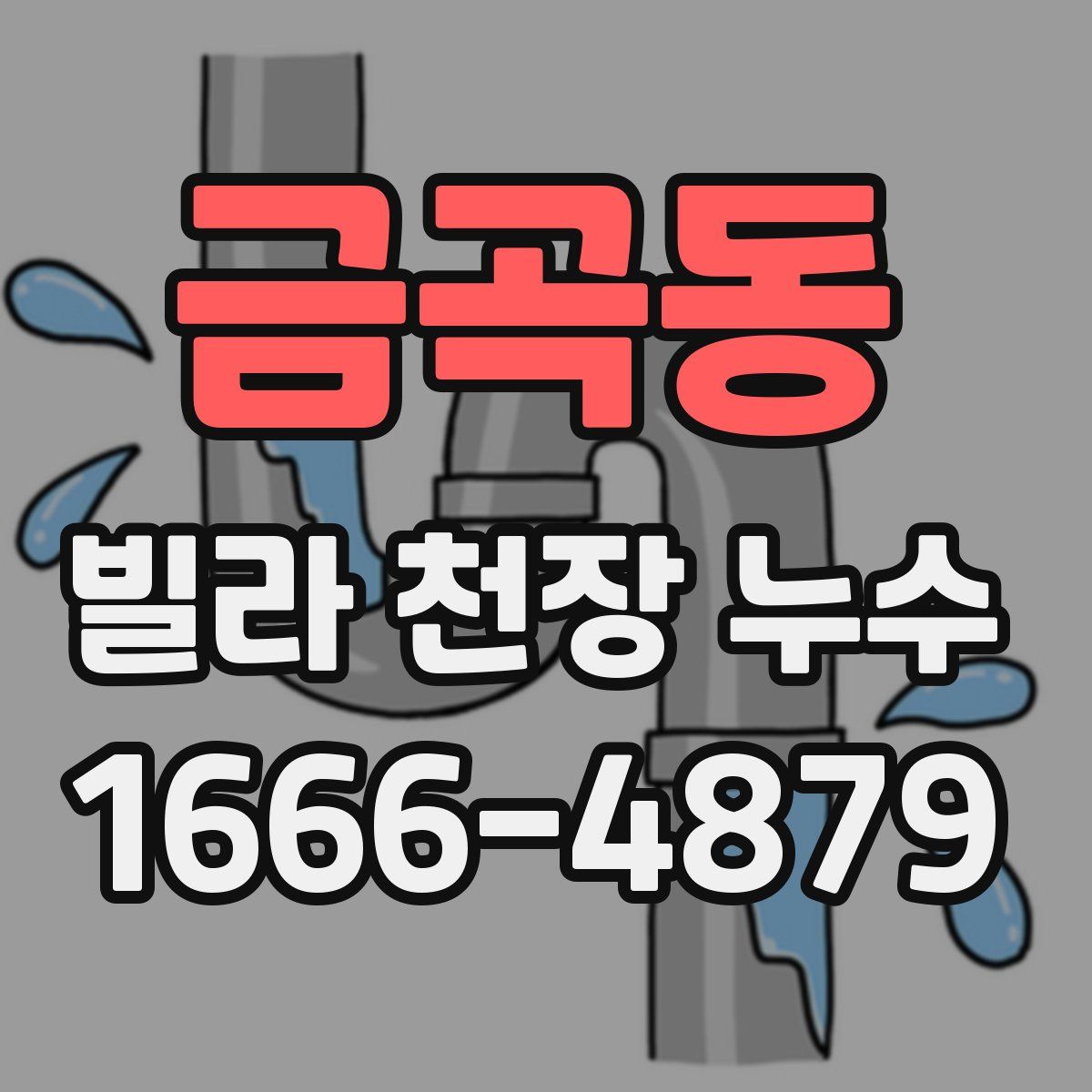 금곡동 빌라 천장 누수