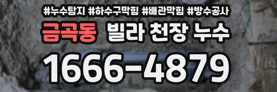 금곡동 빌라 천장 누수