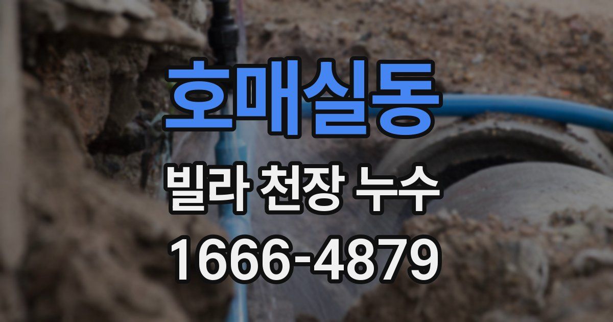 호매실동 빌라 천장 누수