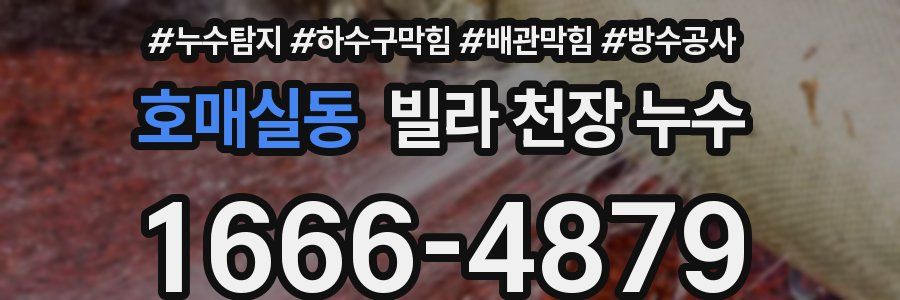 호매실동 빌라 천장 누수