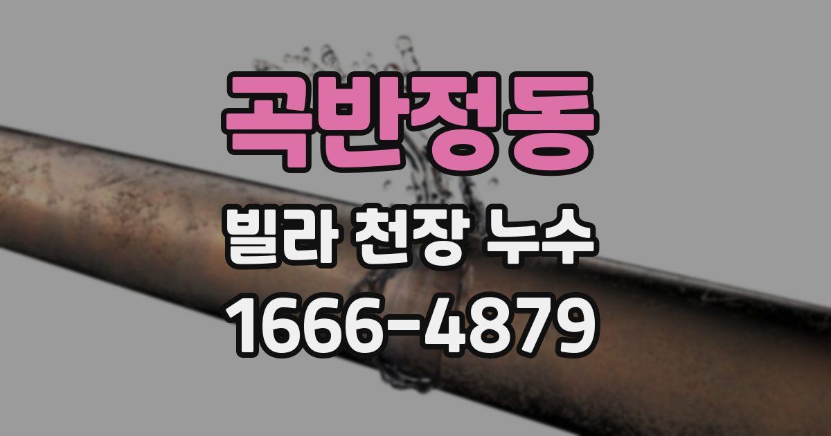 곡반정동 빌라 천장 누수