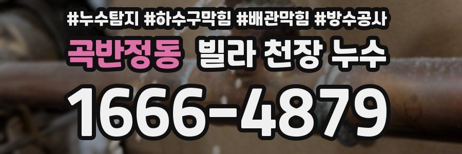 곡반정동 빌라 천장 누수