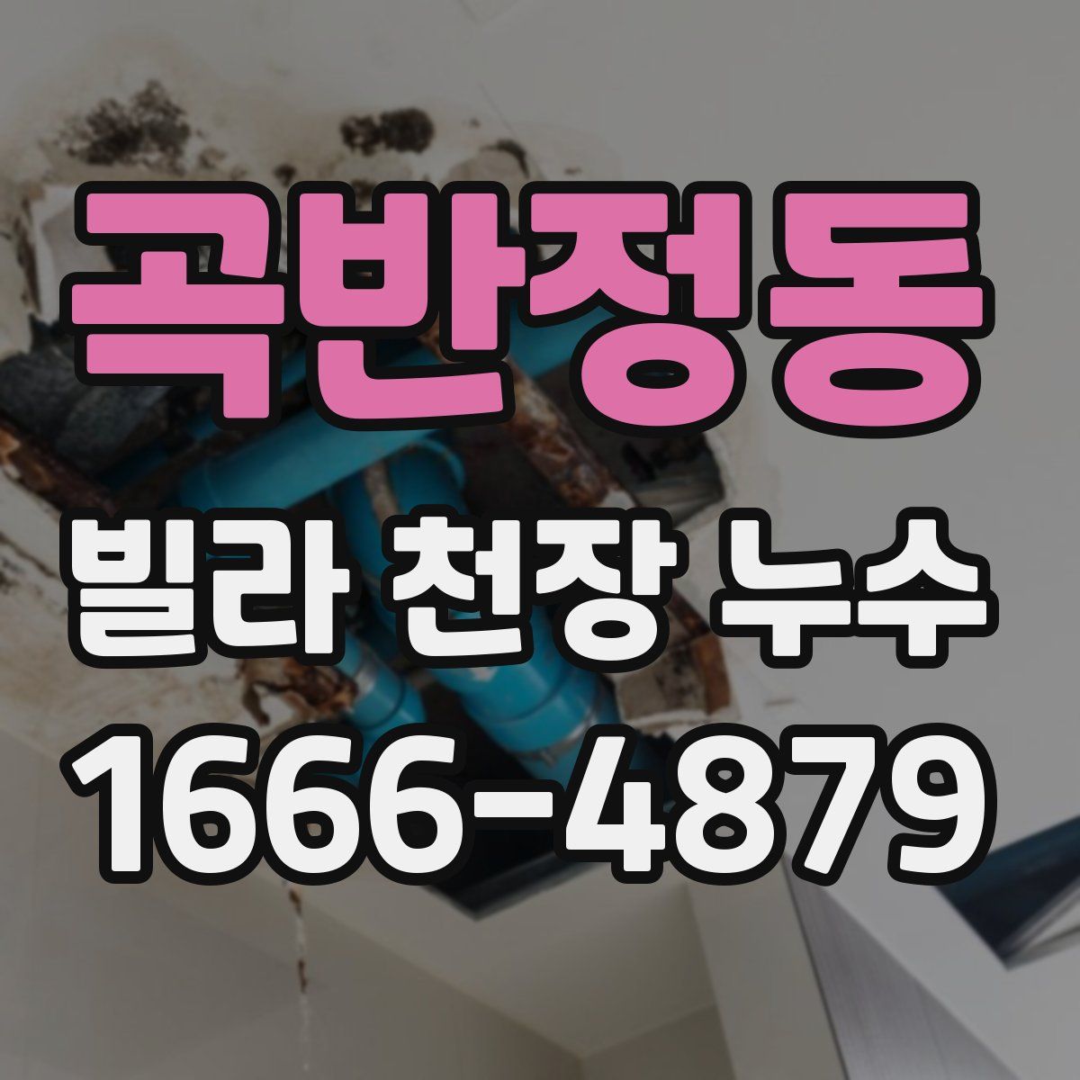 곡반정동 빌라 천장 누수