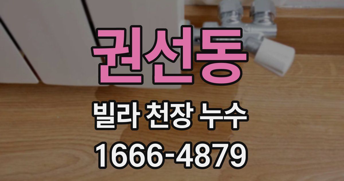 권선동 빌라 천장 누수