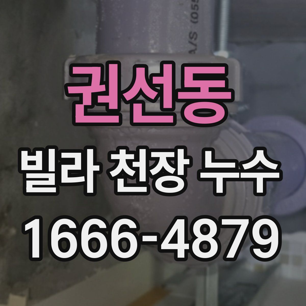 권선동 빌라 천장 누수