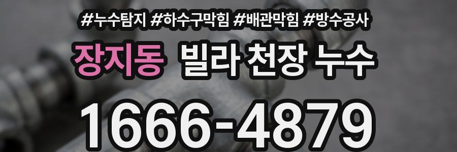 장지동 빌라 천장 누수
