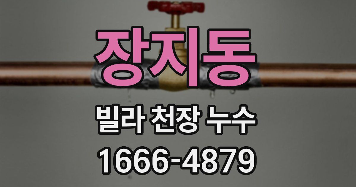 장지동 빌라 천장 누수