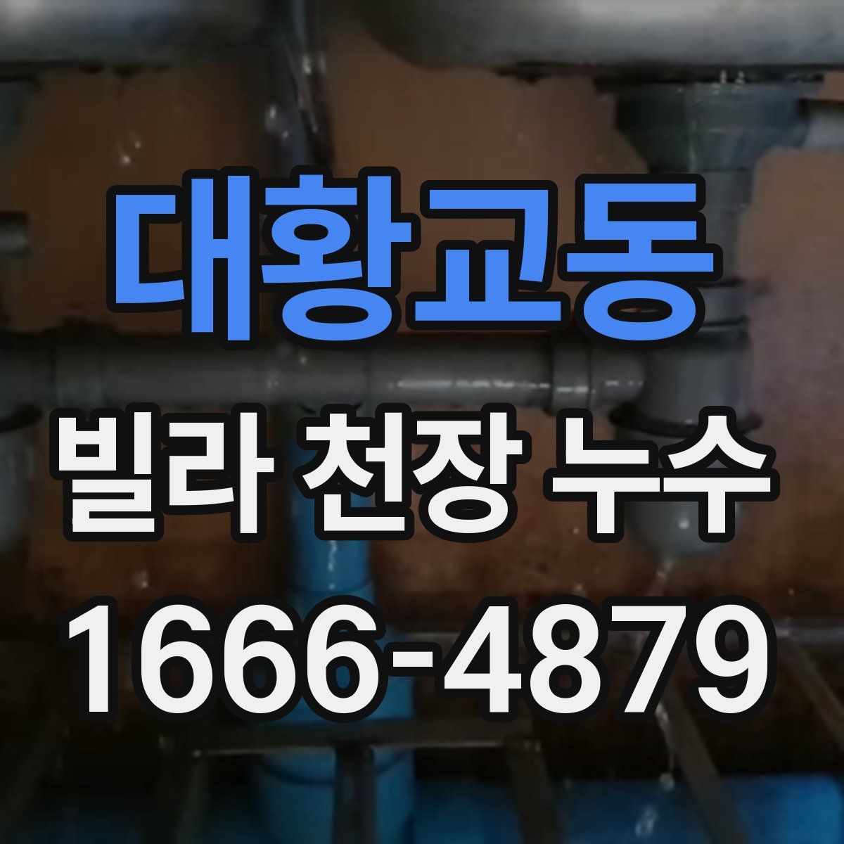 대황교동 빌라 천장 누수